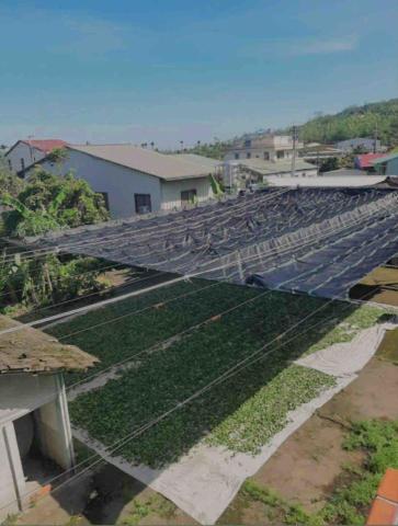 鑫盛帆布行 - 黑網遮陽網