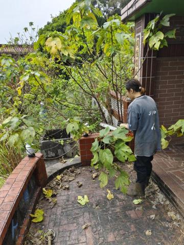 🪽森羽園藝 - 清明墓園整理 除草及鉅樹
