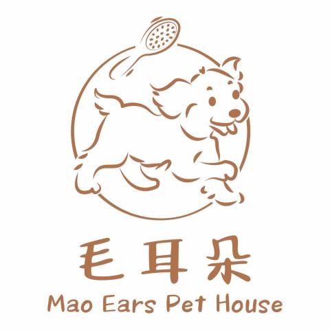提供台東寵物美容住宿服務的專家毛耳朵寵物生活館