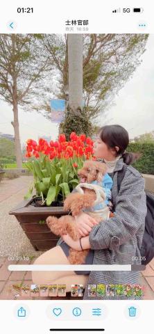 Miyokku｜中英日🇯🇵語感開口｜零基礎入門✔️