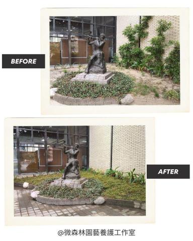 微森林園藝養護工作室 - 植栽移除更換作業