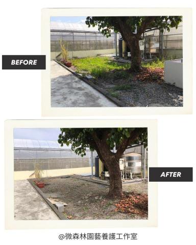 微森林園藝養護工作室 - 公司行號除草服務