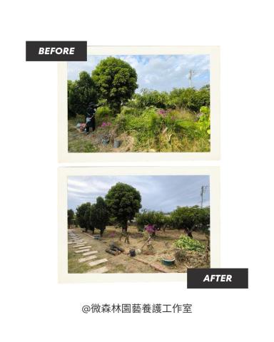 微森林園藝養護工作室 - 私人庭院除草服務