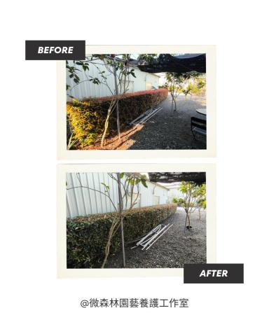 微森林園藝養護工作室 - 商業空間園藝維護