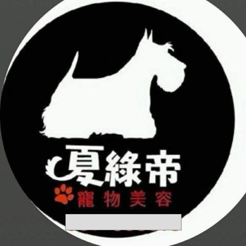 苗栗寵物美容師推薦夏綠帝寵物美容工作坊