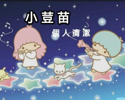 新竹市東區安全座椅清洗專家推薦小荳苗個人清潔工作室