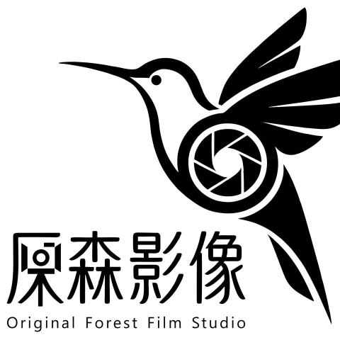 提供花蓮服務的專家蔡聖提