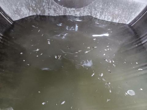 綠映工程：特殊清潔垃圾房屋-病世他殺除味道清潔室內空氣消除臭 - 