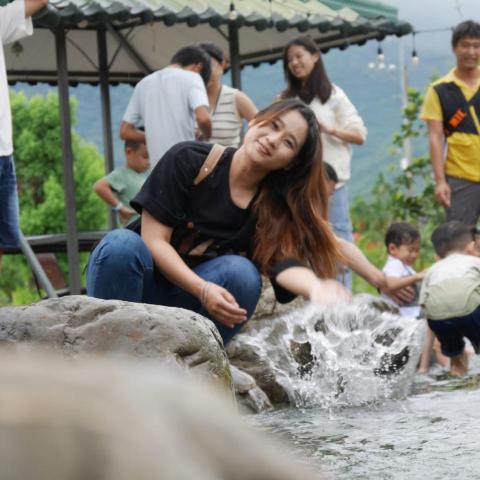 提供台中便宜貓旅館服務的專家蘇沛琪