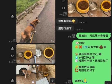 美琪寵物保姆(到府居家殘貓照顧)-正宗粵語教學 - 跟主人回報狀況