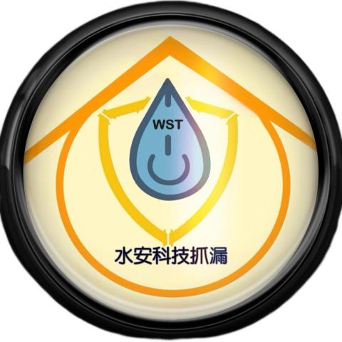 水安科技抓漏