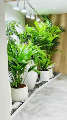 茴禧花坊 - 美商辦公室綠化設計