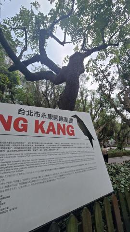 提供筋絡服務的專家中小學比賽訓練