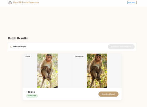 風清資訊科技_Fengqing - AI 圖像處理APP