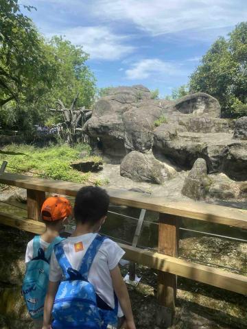 台北到府保母小林