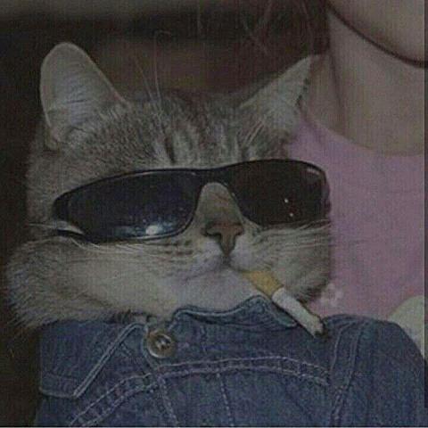 提供鍍膜服務的專家陶豪紳