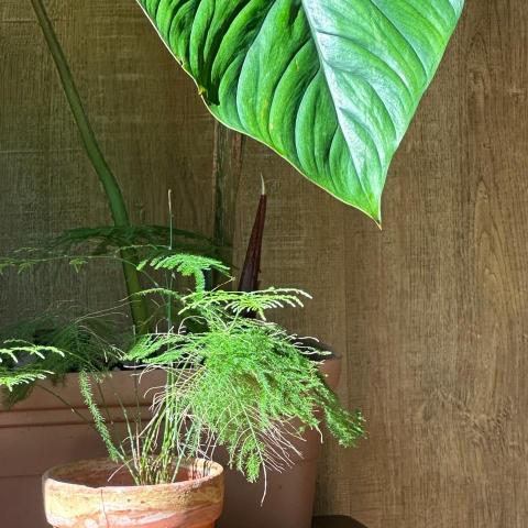 台灣地政士推薦地政事務所