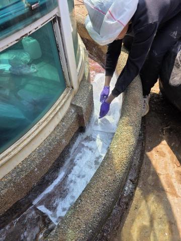 FRP玻璃纖維防水、室內外防水、內外牆油漆、仿石漆、侷限空間 - 台北大安 FRP玻璃纖維防水 