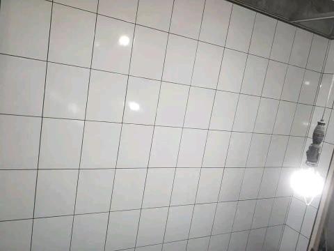 綠映工程：特殊清潔垃圾房屋-病世他殺除味道清潔室內空氣消除臭 - 