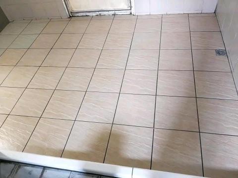 綠映工程：特殊清潔垃圾房屋-病世他殺除味道清潔室內空氣消除臭 - 
