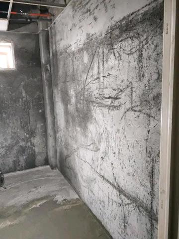 綠映工程：特殊清潔垃圾房屋-病世他殺除味道清潔室內空氣消除臭 - 
