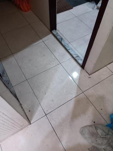 綠映工程：特殊清潔垃圾房屋-病世他殺除味道清潔室內空氣消除臭 - 