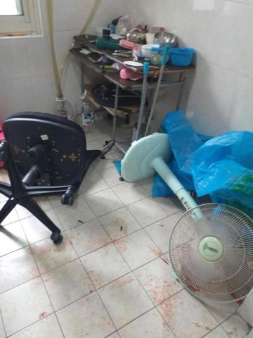 綠映工程：特殊清潔垃圾房屋-病世他殺除味道清潔室內空氣消除臭 - 