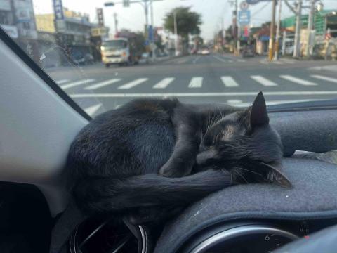 瑋諭家店清洗