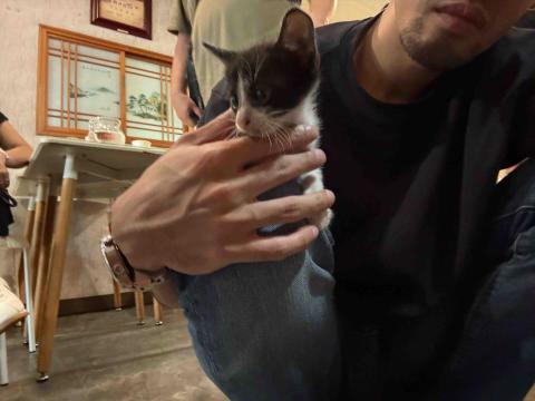 提供學撞球服務的專家沈祐甫