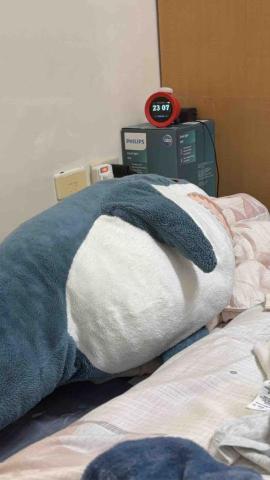 提供斗六服務的專家Shaina