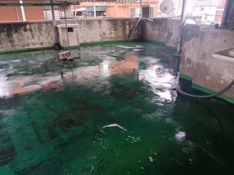 綠映工程：特殊清潔垃圾房屋-病世他殺除味道清潔室內空氣消除臭 - 