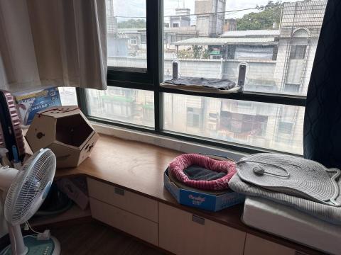 綠映工程：特殊清潔垃圾房屋-病世他殺除味道清潔室內空氣消除臭 - 