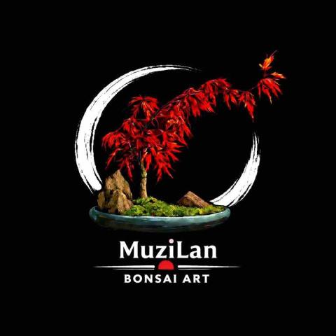 提供庭院修剪服務的專家MuziLan