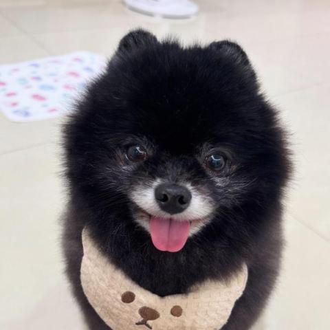 提供coco菜单服務的專家ku coco