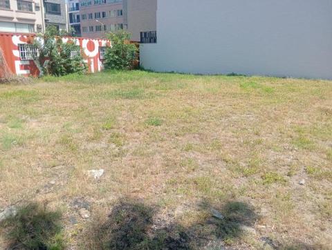 王東明 - 安平區空地除草前