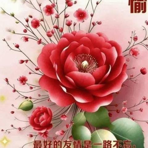 黃品瑜