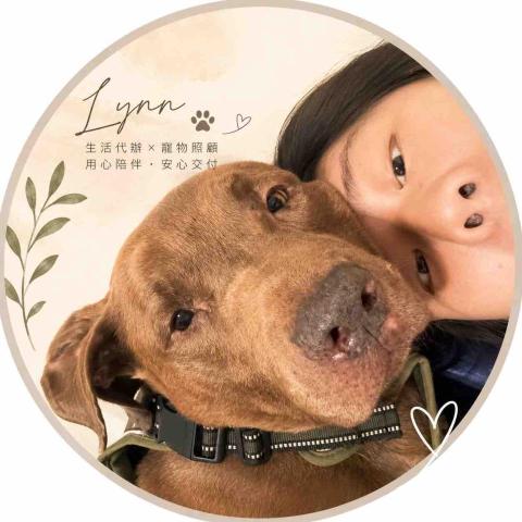 提供特定寵物業許可證代辦服務的專家森光生活代辦
