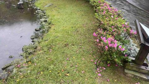 蝸牛園藝社 - 