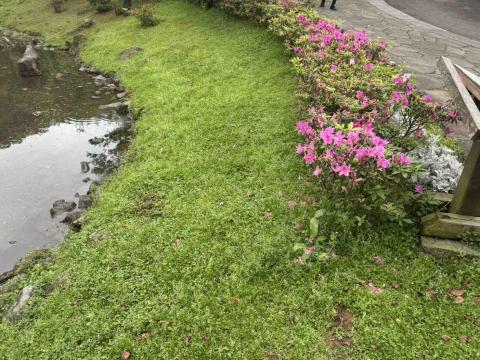 蝸牛園藝社 - 