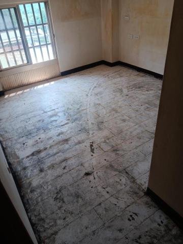 綠映工程：特殊清潔垃圾房屋-病世他殺除味道清潔室內空氣消除臭 - 