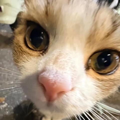 謝瑋澤