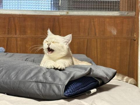 提供冷媒服務的專家weikuang