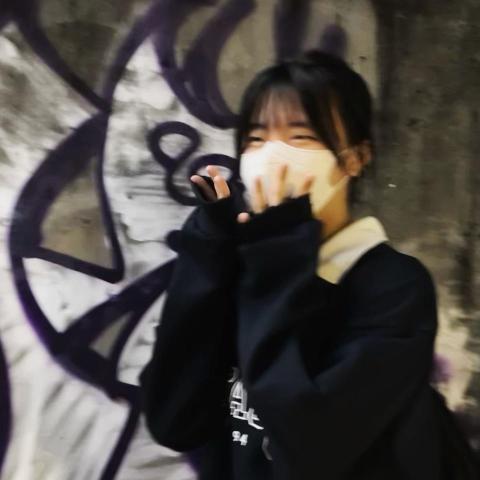 戴歆凈