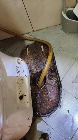 順順通在地服務 - 