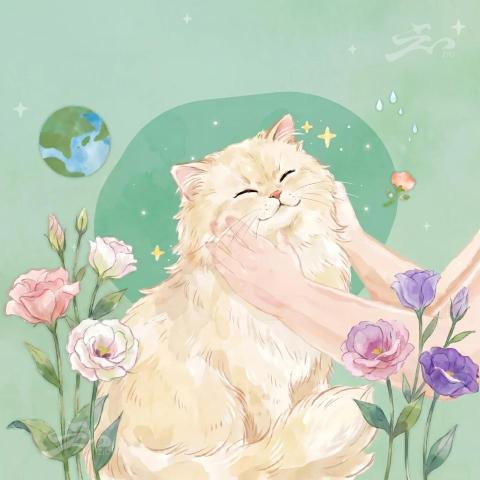 提供精油spa服務的專家ZiUKomo SPA
