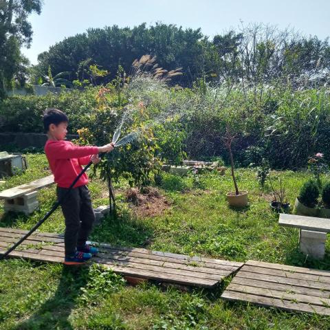 提供庭園整理服務的專家友格園藝