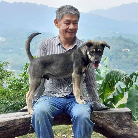 提供貼壁紙工人服務的專家陳昭榕