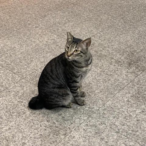 郭小姐