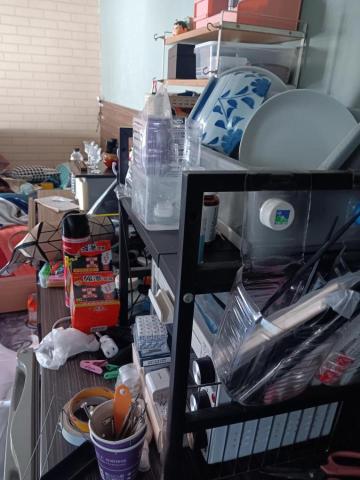 綠映工程：特殊清潔垃圾房屋-病世他殺除味道清潔室內空氣消除臭 - 