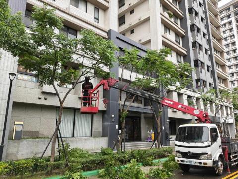 于森園藝企業社 （林先生） - 社區樹木矮化修剪
